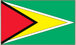 Guyana flag sticker with green field, red triangle, and yellow border arrow