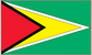 Guyana flag sticker with green field, red triangle, and yellow border arrow