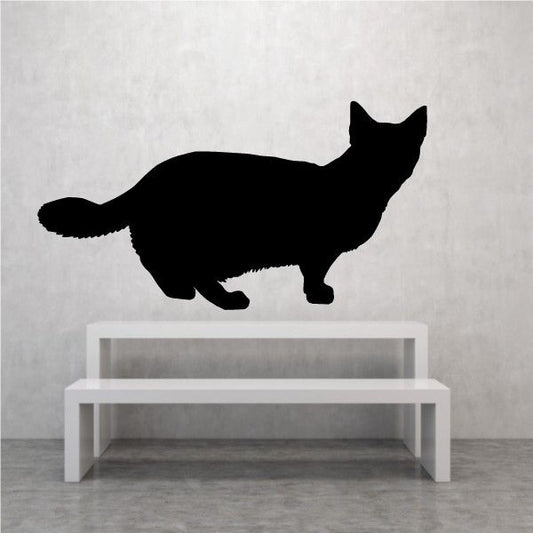 Image of Munchkin Cat Decal