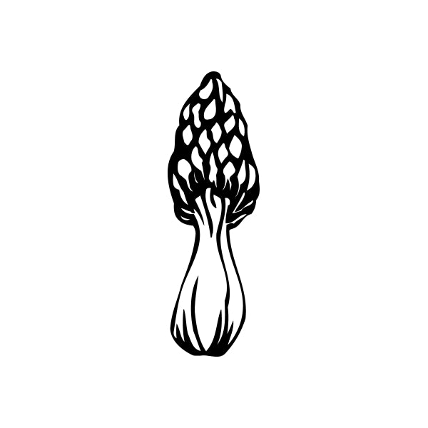 Black morel mushroom line-art decal with long stem and honeycomb texture
