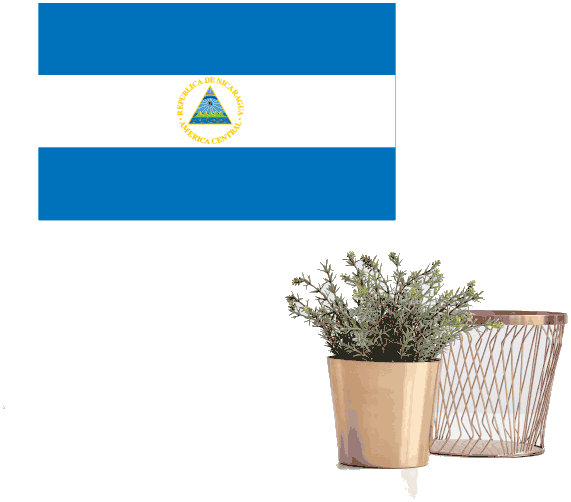 Round Nicaragua flag sticker with coat-of-arms center