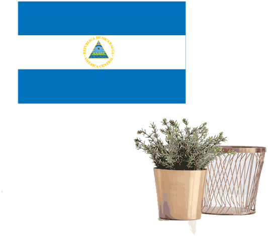 Round Nicaragua flag sticker with coat-of-arms center