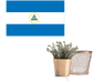 Round Nicaragua flag sticker with coat-of-arms center