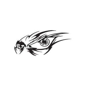 Hawk eyes vehicle decal, black and white graphic with stylized eye