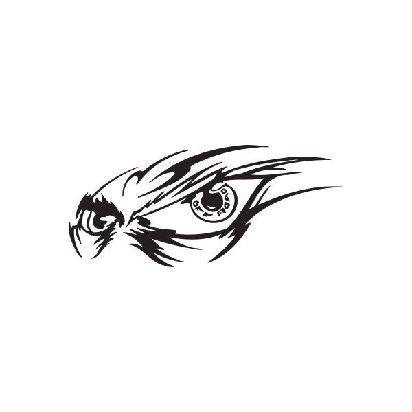 Image of Off Road Hawk Eyes Decal