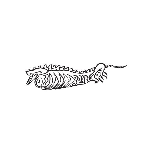 Skeleton bones decal, off-road style, black line art