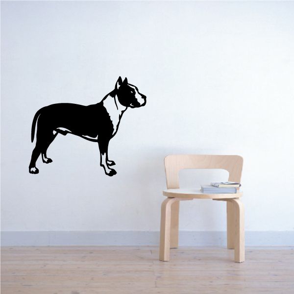 Patched pit bull decal, black dog with white chest and markings