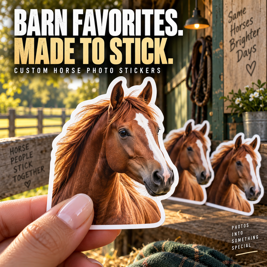Custom Horse Photo Stickers — example custom photo stickers