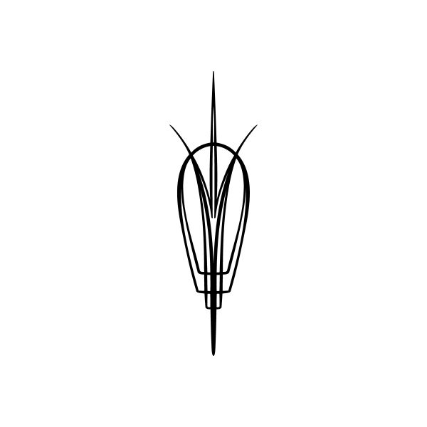 Pinstripe car window vinyl decal sticker, black outline bulb design