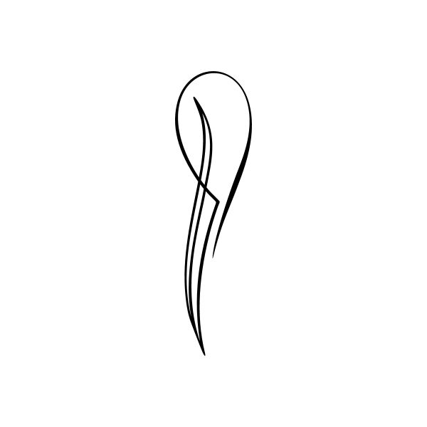 Pinstripe window vinyl decal sticker with black teardrop line emblem
