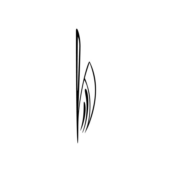 Black pinstripe car window vinyl decal sticker with curved swoosh lines