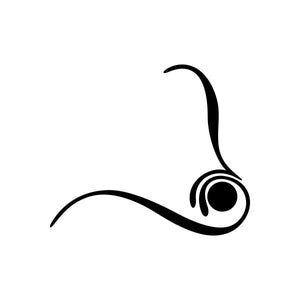 Car window vinyl decal: black pinstripe swirl line with circular eye