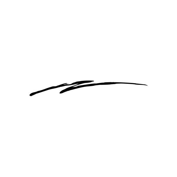 Curved black pinstripe vinyl decal sticker