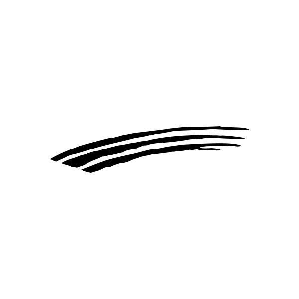 Black curved pinstripe vinyl decal with three parallel lines