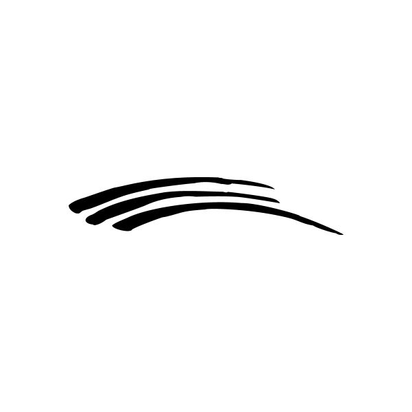 Pinstripe vinyl decal with two curved black lines
