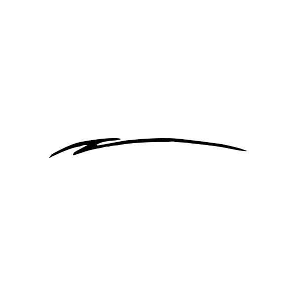 Car window vinyl decal: curved black pinstripe line