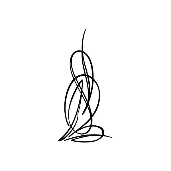 Car window vinyl decal with black looping pinstripe line design