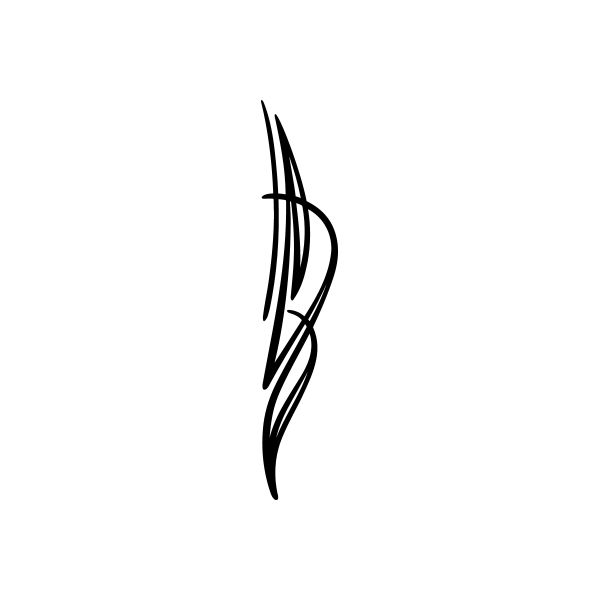 Black pinstripe vinyl decal with curved swirl line