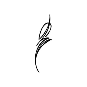 Car window vinyl decal: black curved pinstripe lines with tapered end.