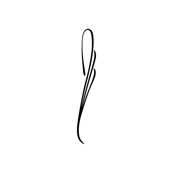 Car window vinyl decal with black curved pinstripe swoosh