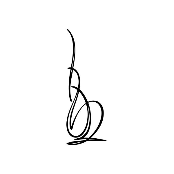 Car window vinyl decal, black curved pinstripe line graphic