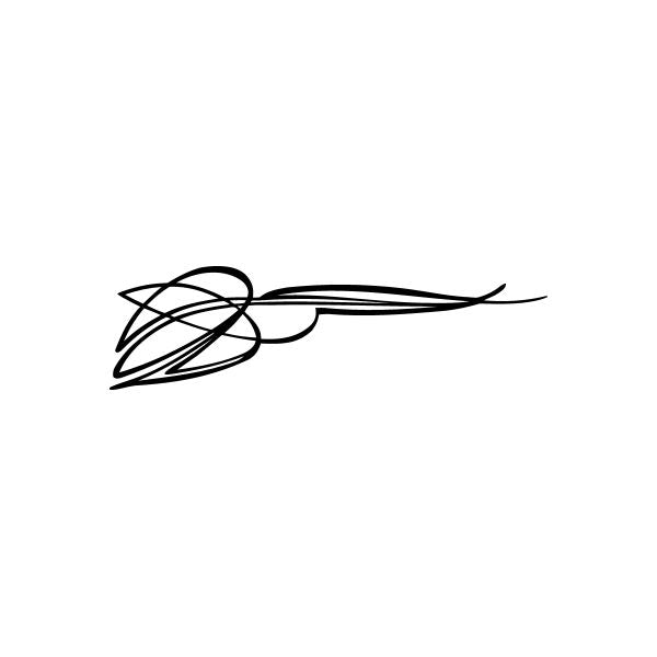 Black pinstripe swirl car window vinyl decal sticker