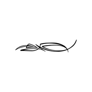 Car window vinyl pinstripe decal with black swooping lines