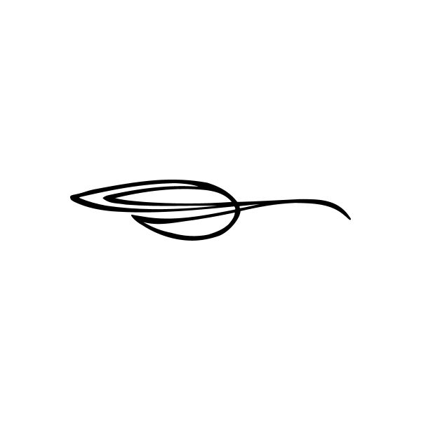 Black car window vinyl decal with swooping pinstripe leaf design