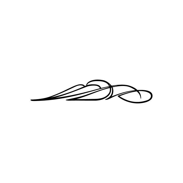 Black pinstripe car window vinyl decal with flowing swoosh and oval tips