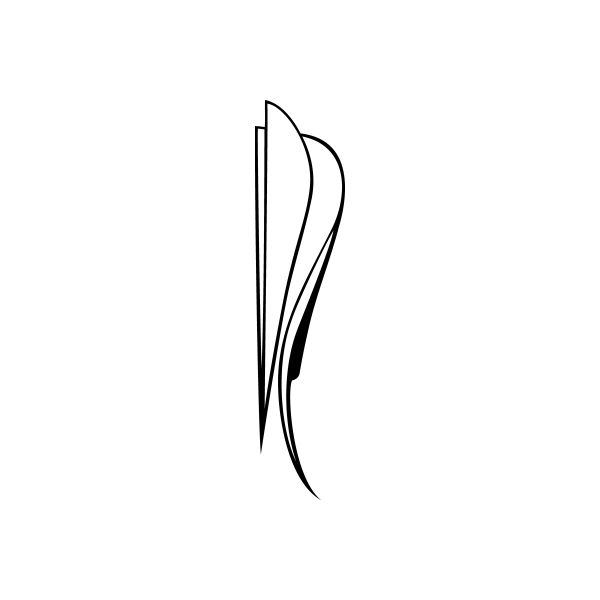 Curved pinstripe window vinyl decal with thin black swoosh lines