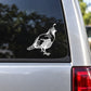 Curious quail decal with white line-art bird on car window glass