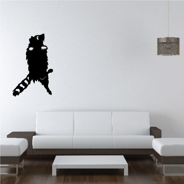 Image of Raccoon Hanging Decal