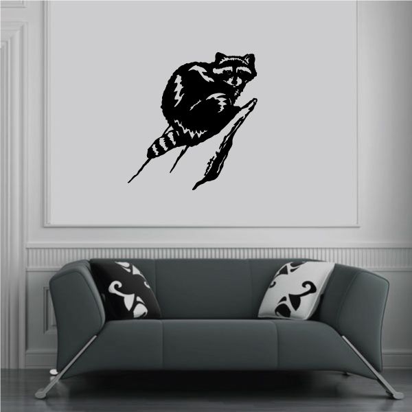 Image of Raccoon Staring Sitting on Edge Decal