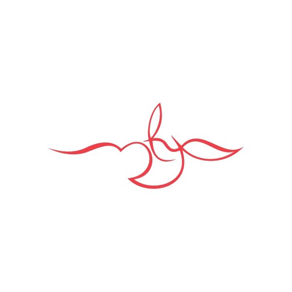 Racing pinstripe wall decal featuring a red swirl winged emblem