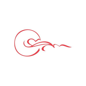 Racing graphic vinyl wall decal with red swoosh and circle outline