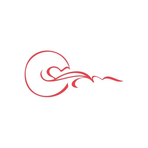 Racing graphic vinyl wall decal with red swoosh and circle outline