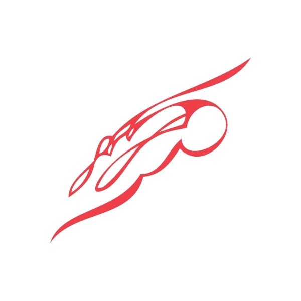Red racing pinstripe car wall decal graphic with streamlined stripe tail