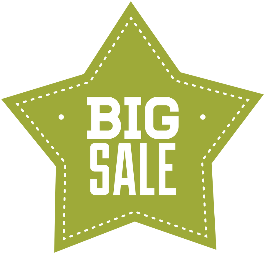 Green star sale sticker with white text 'BIG SALE'.