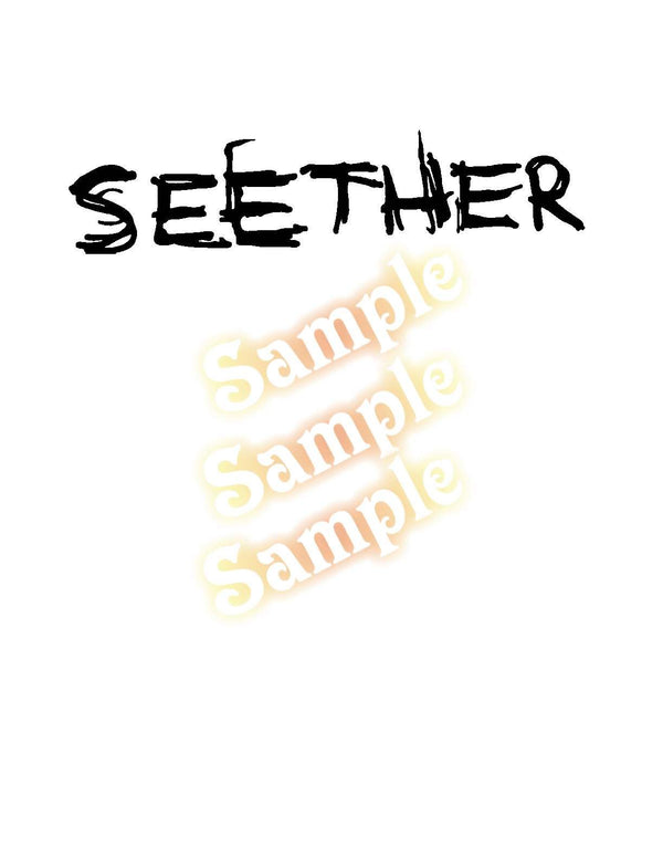 Seether band decal with bold black stylized "SEETHER" lettering