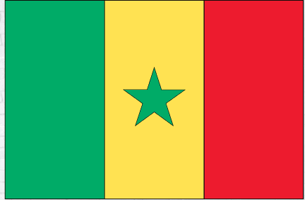 Senegal flag sticker, vertical green-yellow-red stripes with green five-point star.