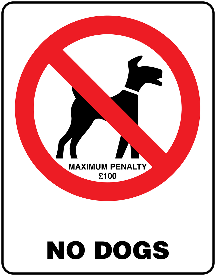 Square sticker with red no-dog symbol and text 'NO DOGS' plus 'MAXIMUM PENALTY £100'