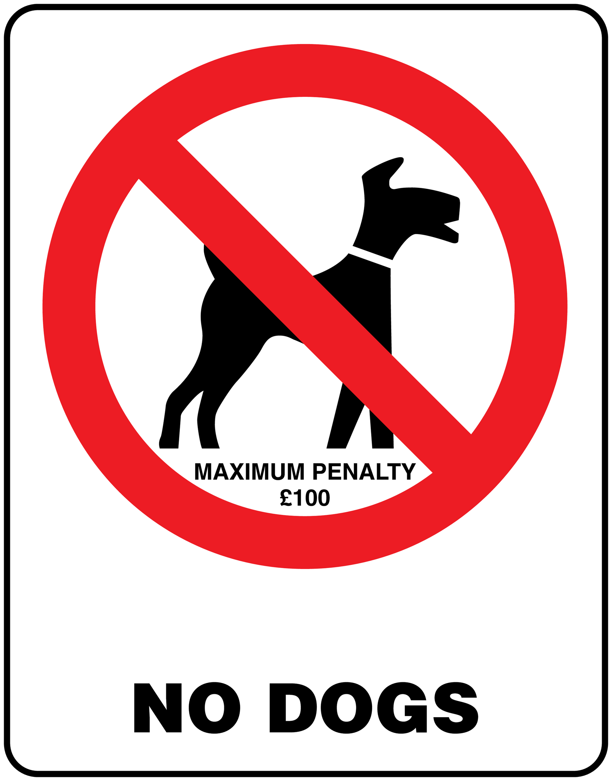Square sticker with red no-dog symbol and text 'NO DOGS' plus 'MAXIMUM PENALTY £100'