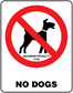 Square sticker with red no-dog symbol and text 'NO DOGS' plus 'MAXIMUM PENALTY £100'