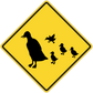 Yellow road sign sticker with black birds silhouettes