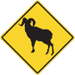 Yellow diamond road sign sticker with black bull silhouette