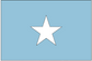 Somalia flag sticker featuring a light blue field and white star