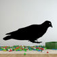 Black squatting pigeon decal