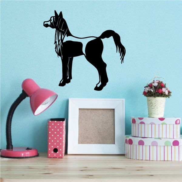 Image of Staring Pony Decal