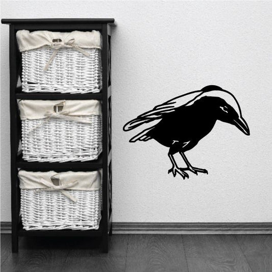 Image of Startled Crow Decal