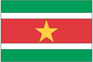 Suriname flag sticker with green, white, red stripes and a yellow five-point star